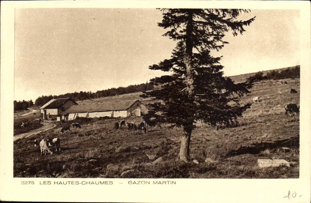 Les Hautes-Chaumes — Gazon Martin — série 2275 - Frente