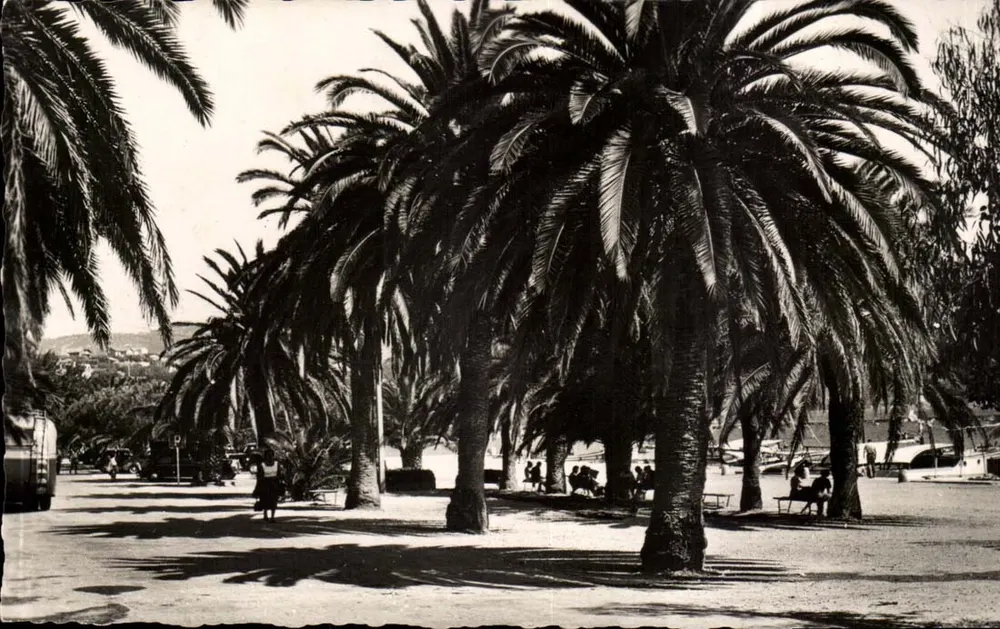 Promenade du Quai de Part - BANDOL — Images de Chez Nous, P 549 - Vorderseite