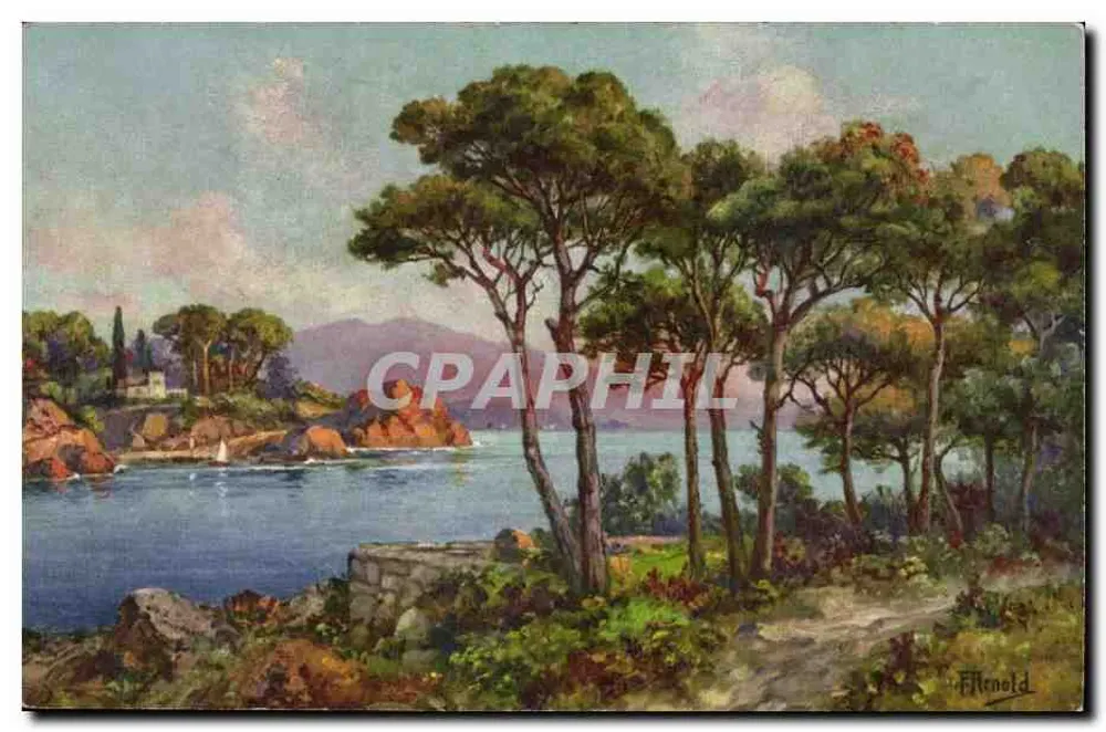 Paisagem costeira — vista do mar e de pinheiros — éditeur STF, n° 88 - Frente