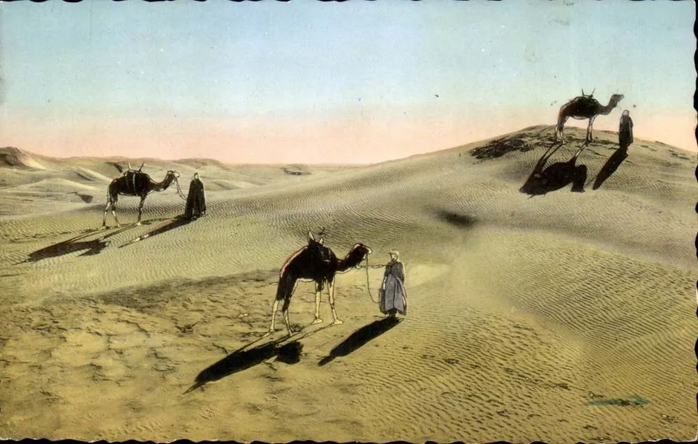 Cenas e Tipos — Touaregs nas Dunas — Edições Photo-Africaines, n°6530 - Frente