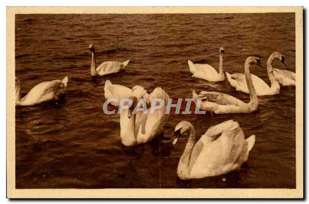 Idyll auf der Alster — Hamburg — Serie Rembrandt - Vorderseite