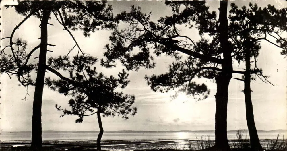 Pôr do sol sobre o Lago — L. Véhatagneau, Bordeaux — Proibido - Frente