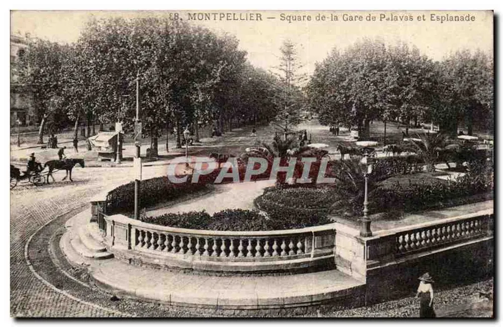 Montpellier — Square de la Gare de Palavas und Esplanade — Verlag S.B. Montpellier, Nr. 8 - Vorderseite