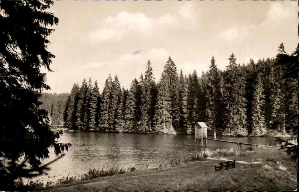 Spiegelataler Teich — See umgeben von Wald — Originalfoto - Vorderseite