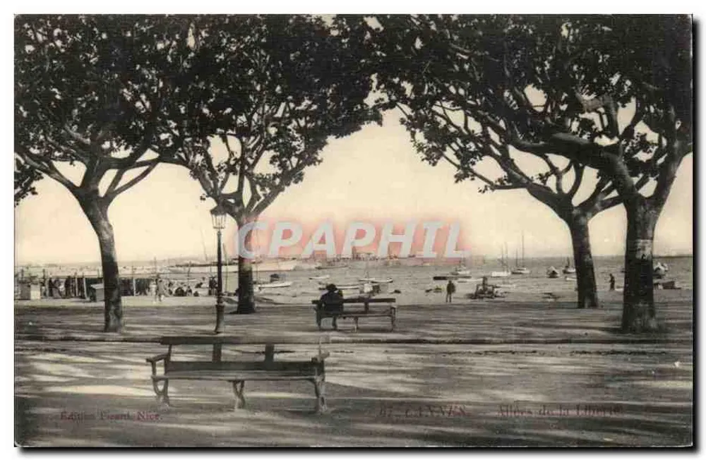 Cannes — Avenida de la Libertad — Edición Picard, Niza - Anverso