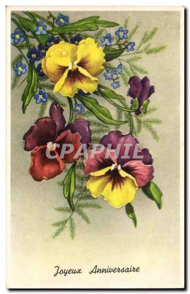 Pfingstrosen und Vergissmeinnicht-Blüten — Frohes Geburtstag - Vorderseite