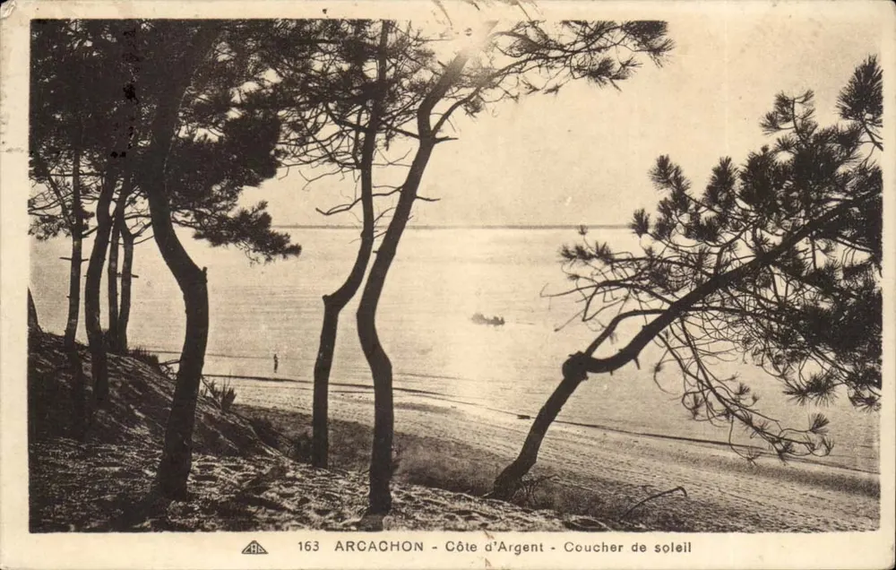 अर्काशन - कोट ड'अर्गेंट - सूर्यास्त - एडिटर: CIR DES ANCIENNES PHOTOGRAPHIES - संख्या 163 - आगे