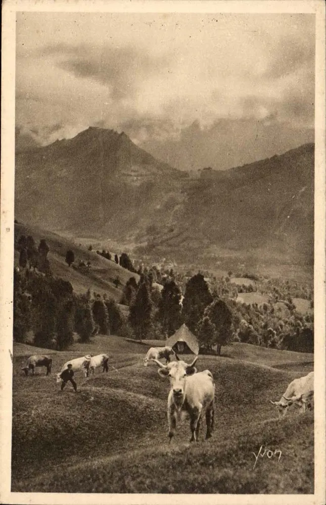 Die Pyrenäen — Weide am Weg zum Aubisque-Pass — Les Éditions d'Art YVON, Paris - Vorderseite