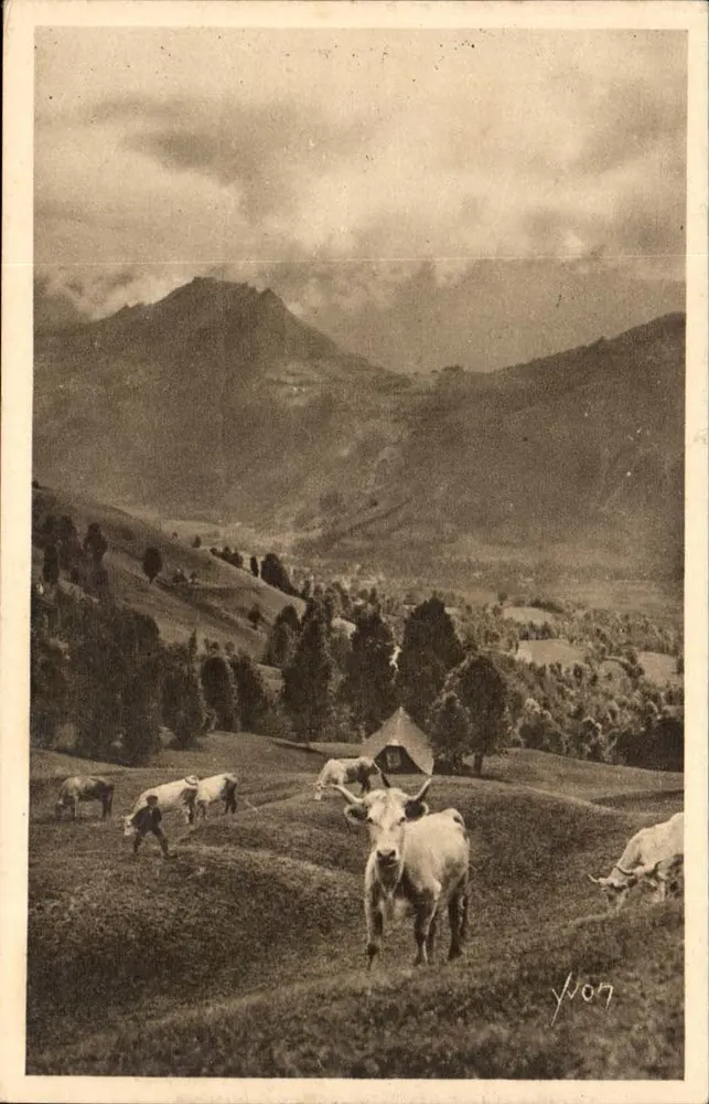 Weide in den Pyrenäen — Route du Col d'Aubisque — Éditions d'Art Yvon, Paris - Vorderseite