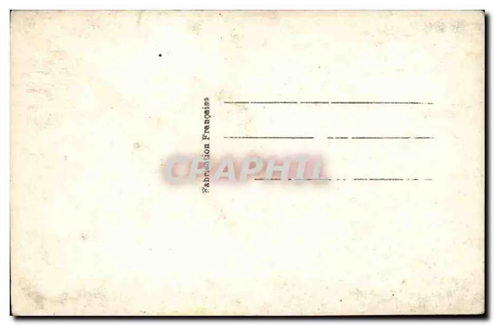 Ramal de pinheiro — paisagem invernal — editor Flor, n° 1016 - Verso