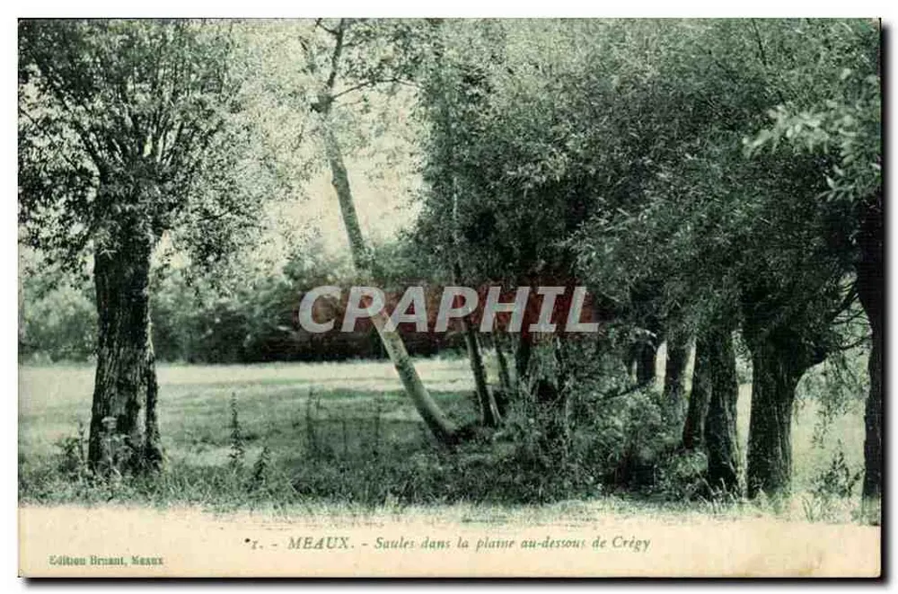 Meaux — Birken in der Ebene unter Crégy — Édition Brault, Meaux - Vorderseite