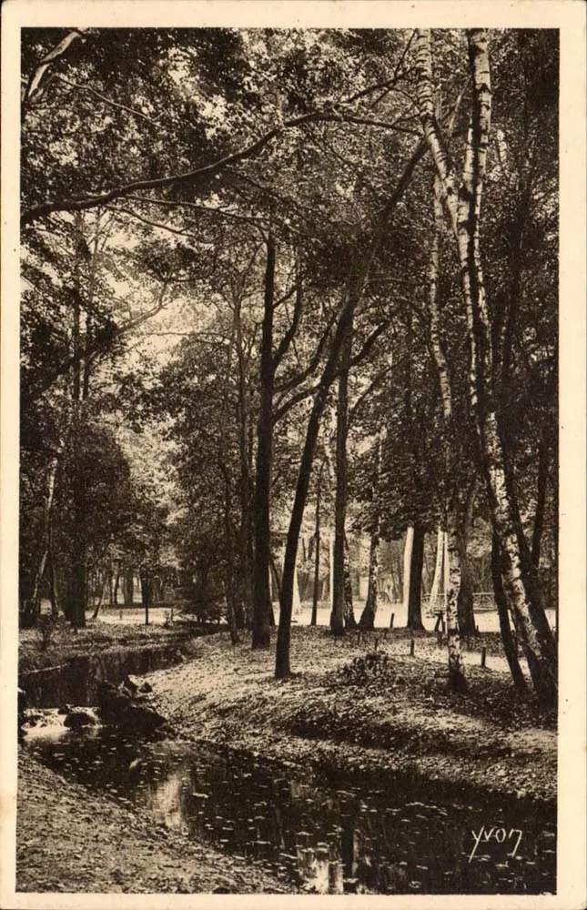 Bois de Boulogne — Ein Eck des Bois de Boulogne — Éditions d'Art Yvon, n°19 - Vorderseite