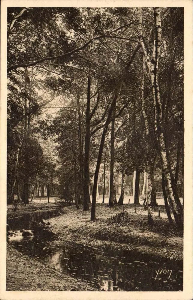 Boulogne-Forest — Ein Eckbereich des Boulogne-Forests — Art Editions Yvonne, Paris - Vorderseite