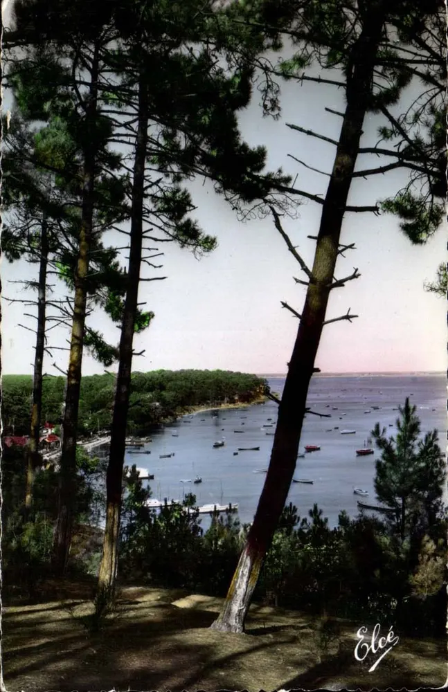 Bassin von Arcachon — Blick durch die Kiefern — L. Chatagneau, Bordeaux - Vorderseite