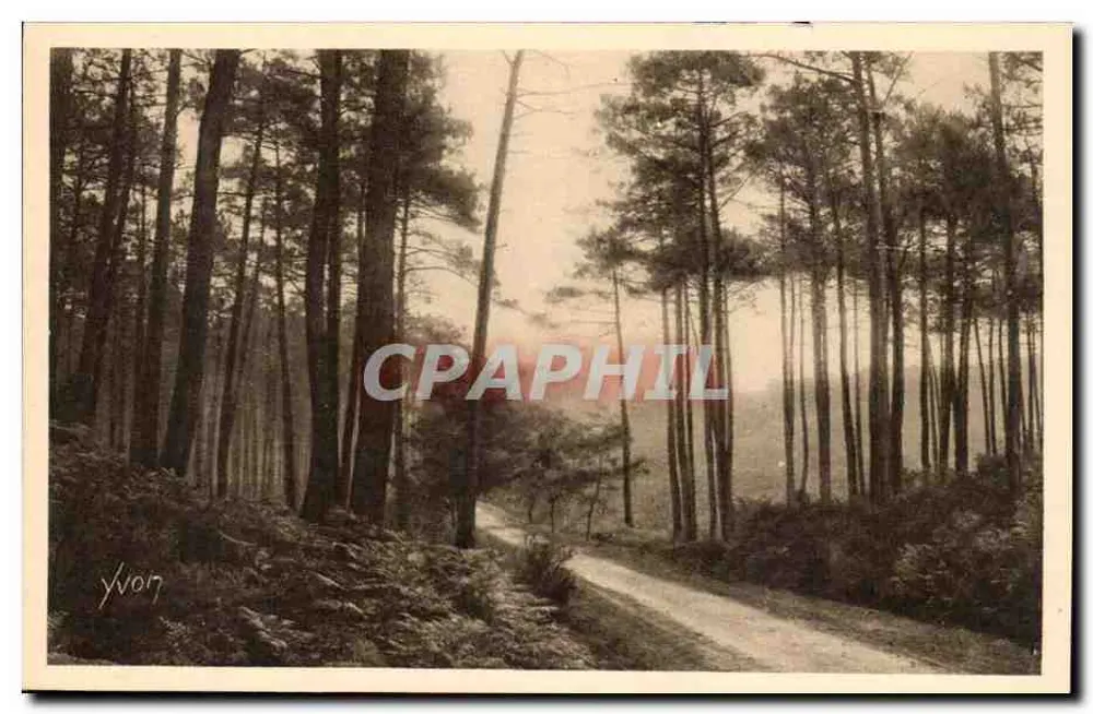 Die Landes de Gascogne — Route von Léon nach Moliets — Éditions d'Art Yvcon - Vorderseite