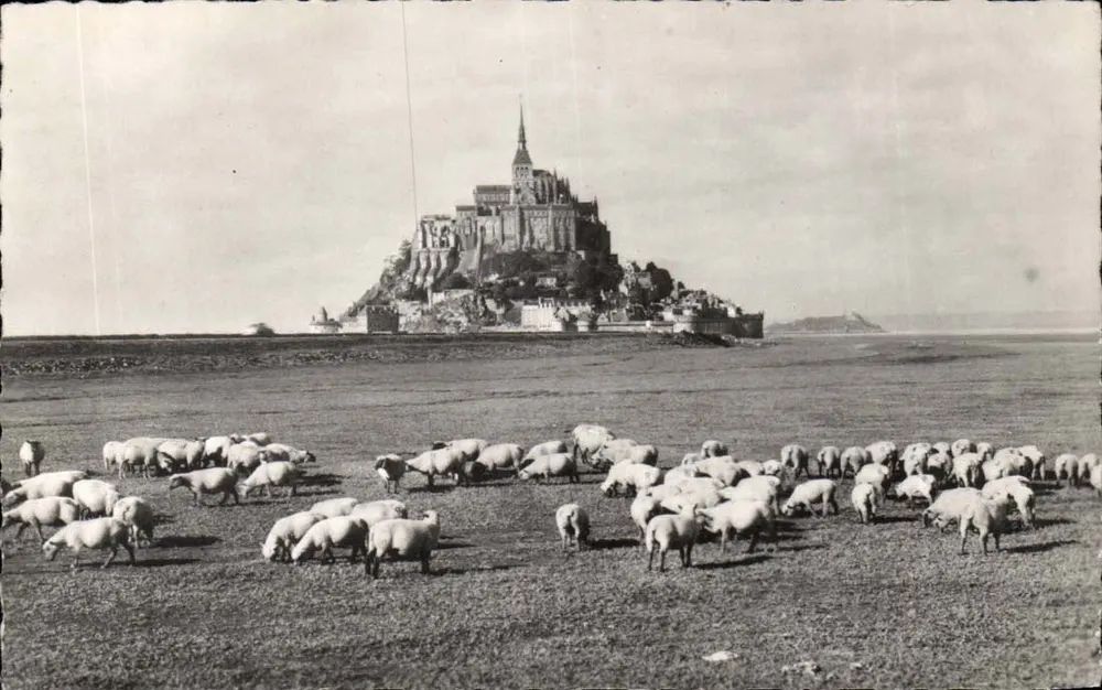 Mont Saint-Michel — Die berühmten « Prés Salés » — Photo HIZEETTE, n° 134 - Vorderseite