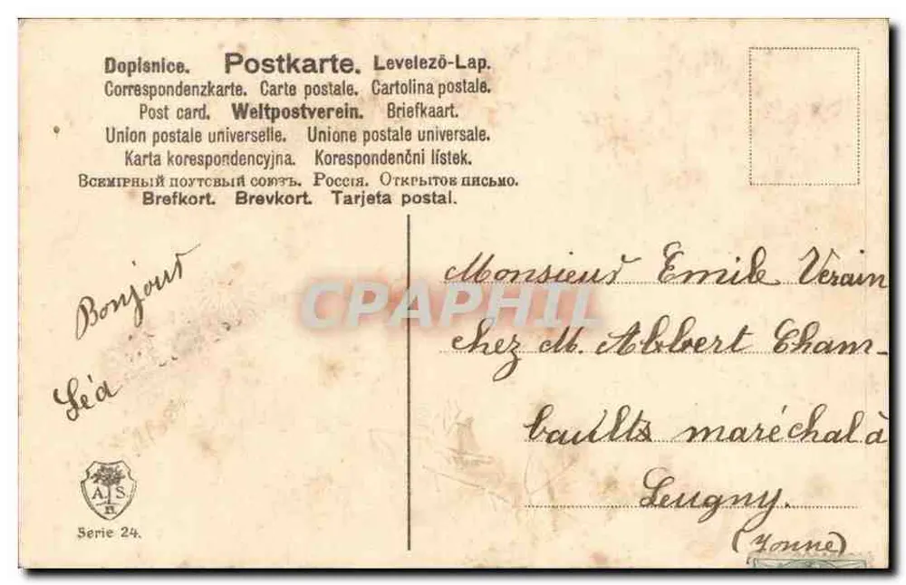 Roseblüten — auf Baumstamm — Verlag A.I.S. n°24 - Rückseite