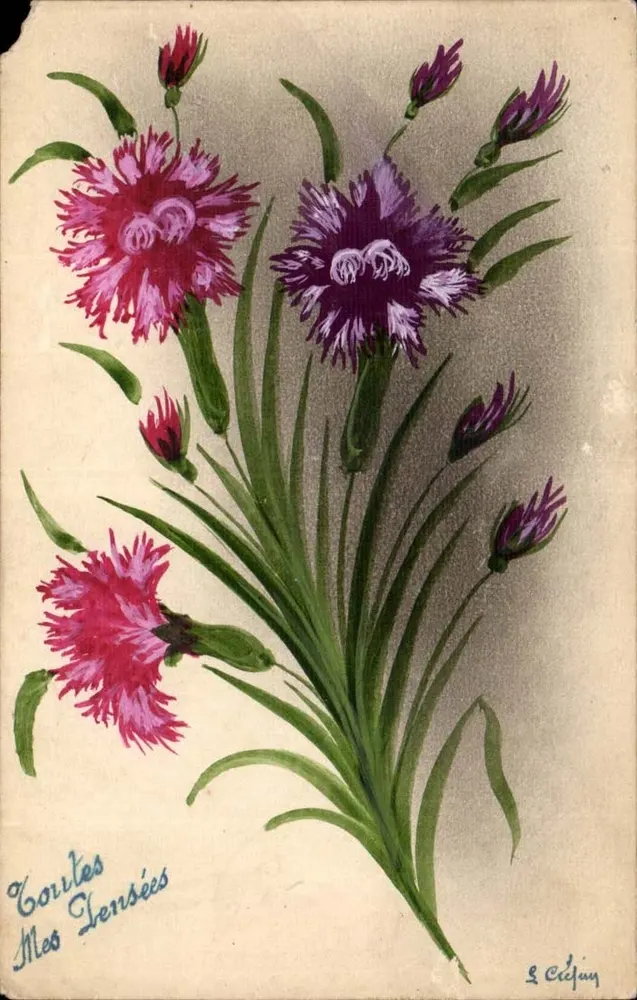 Carnícias — Flores coloridas — L. Céjouy - Frente