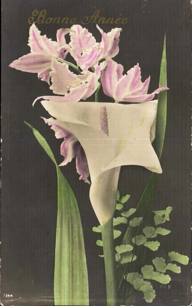 Blumen — Orchideen und Calla — mit Aufschrift 'Guten Rutsch' — Verlag S.P. n°1344 - Vorderseite