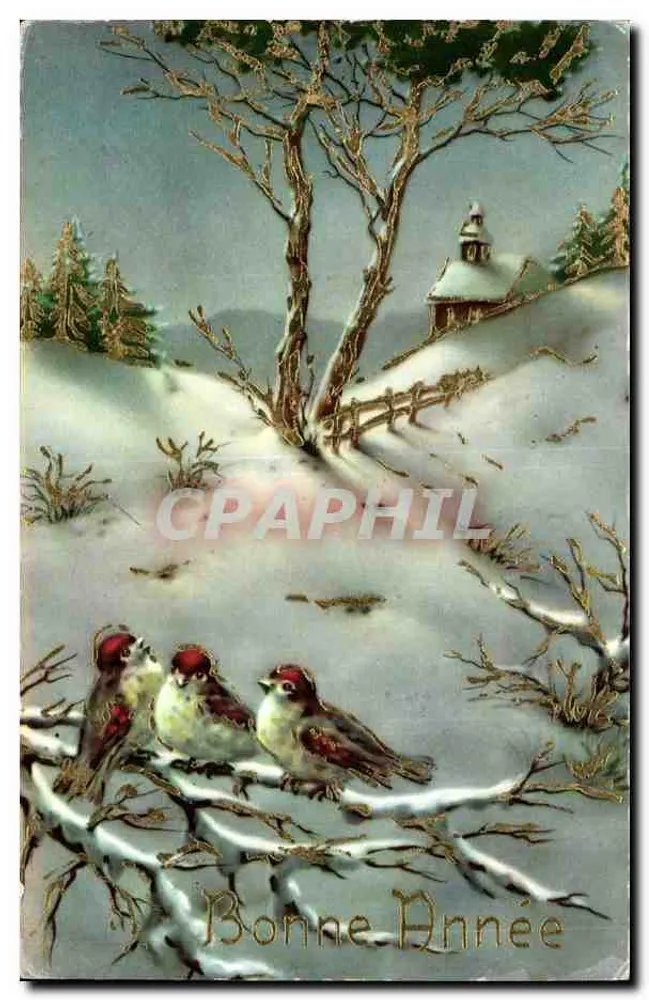 Winterlandschaft mit Vögeln — Frohe Neujahr — unbekannter Verlag, Seriennummer nicht sichtbar - Vorderseite