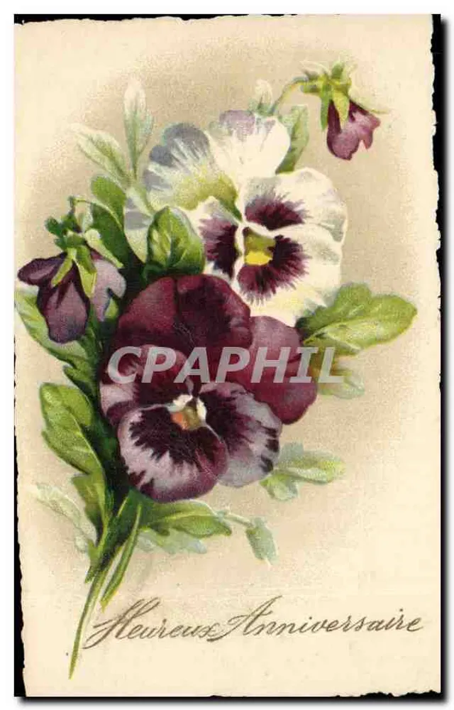 Vergissmeinnicht-Blüten — Geburtstag — Ansichtskarte datiert 1924 - Vorderseite