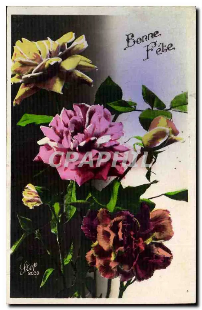 Blumen — Farbige Rosen und Pfingstrosen — Verlag Stop, Nr. 2059 - Vorderseite