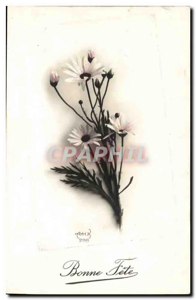 Blumenstrauß aus Margeriten — Frohe Geburtstagskarte — AH.R. 298 - Vorderseite