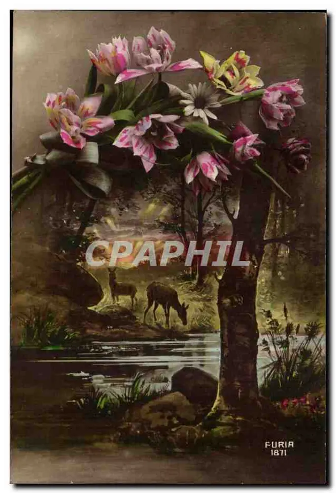 Bloemen van orchideeën — landschap met bossen en herten — Furia 1871 - Voorkant