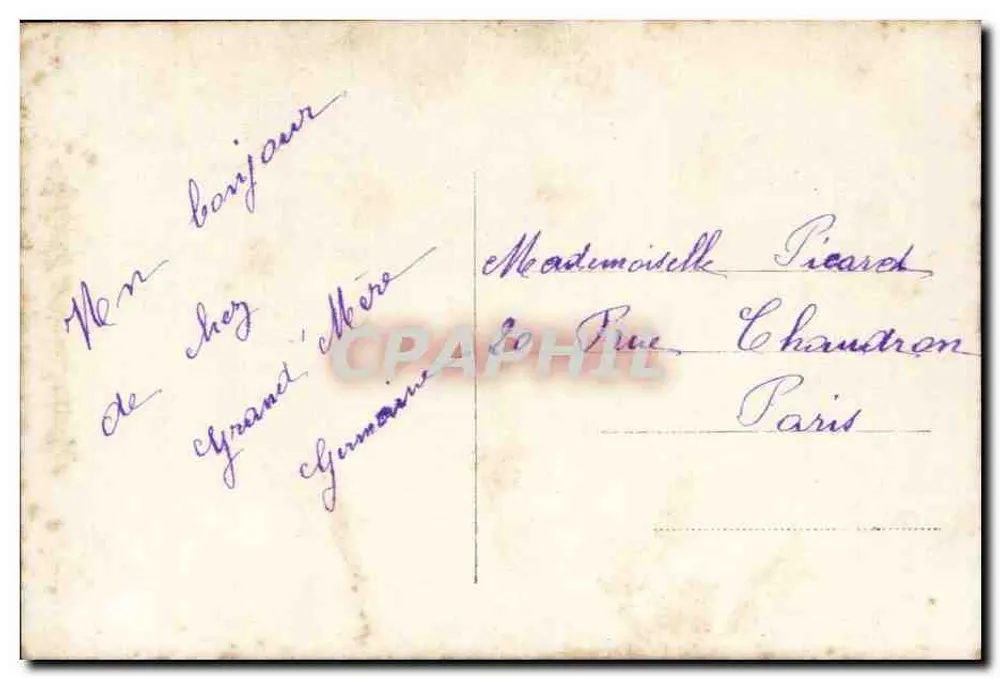 Bloemen van orchideeën — landschap met bossen en herten — Furia 1871 - Achterkant