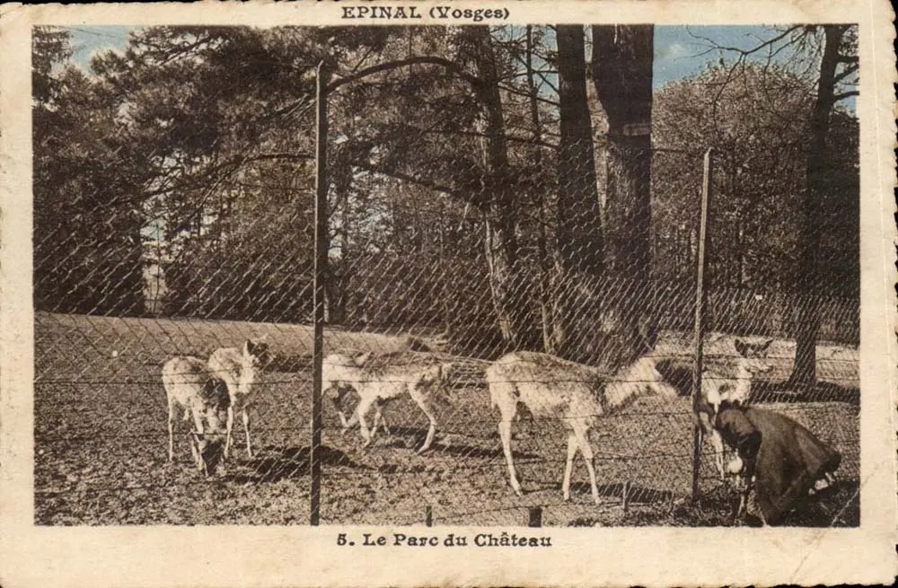 Epinal (Vosges) — Het Park van het Kasteel — Uitgever C. Loder, Besançon, n°5 - Voorkant