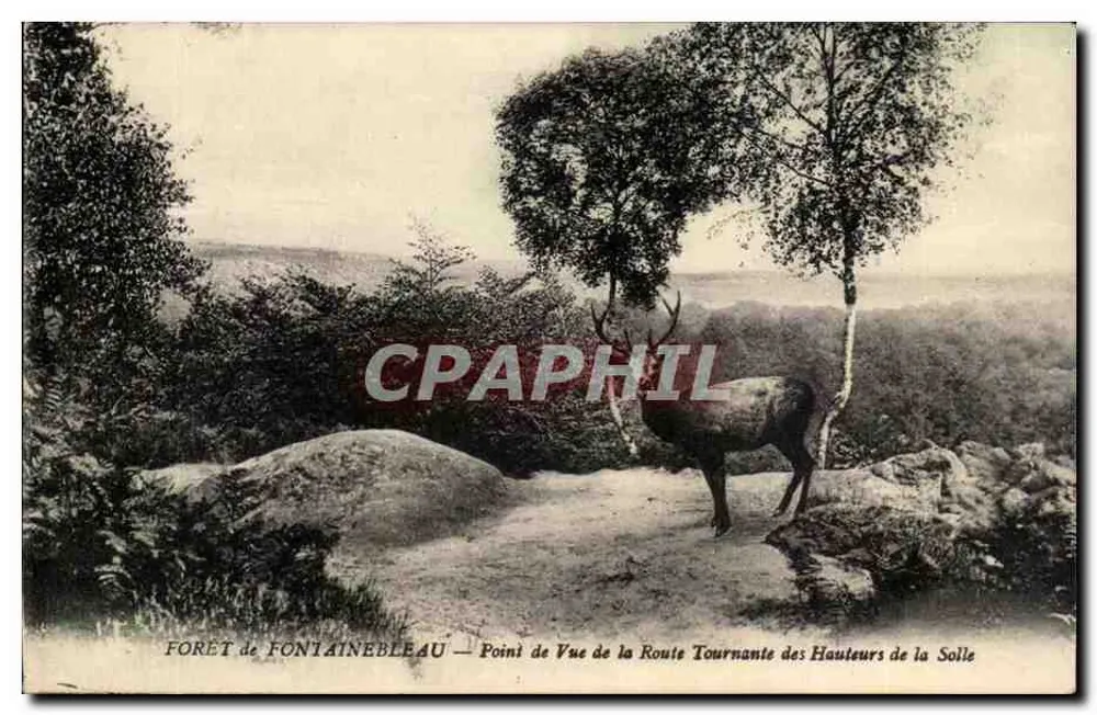 Forêt de Fontainebleau — Aussichtspunkt auf der Kurvenstraße der Höhe von la Solle - Vorderseite