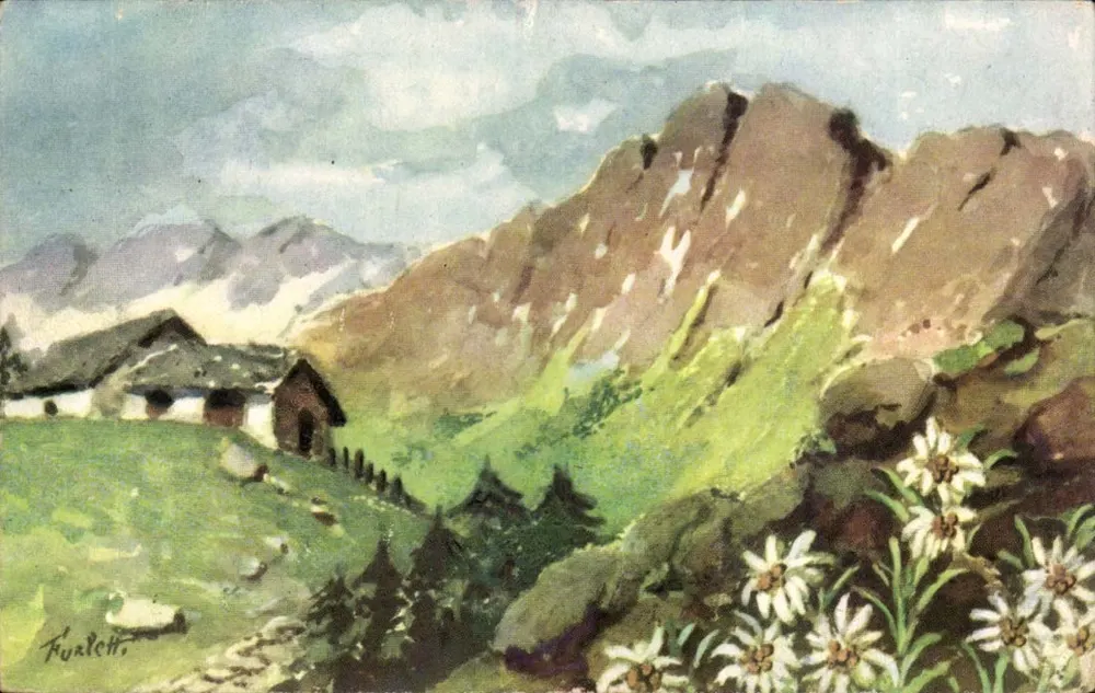 Alpine landscape — Chalet und Edelweissblüten — Huralott - Vorderseite