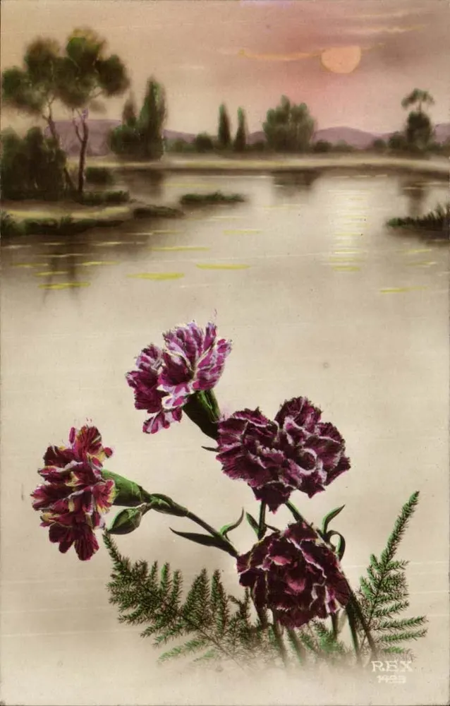 Flores de carthame na margem de um lago — REX 1425 - Frente
