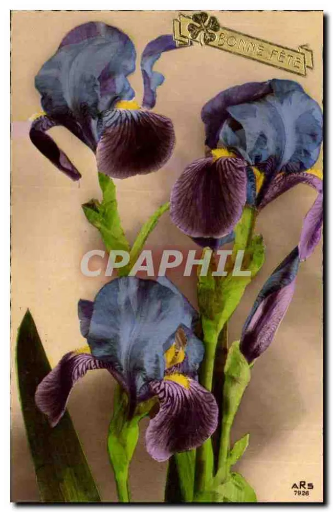 Blaue Iris — Karte zum Gruß — ARS 7926 - Vorderseite