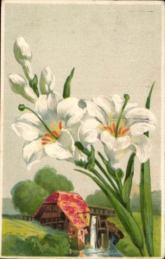 Lilas białe — krajobraz z domkiem i wodopadem — Chromo n°18117, rysunek 4 - Awers