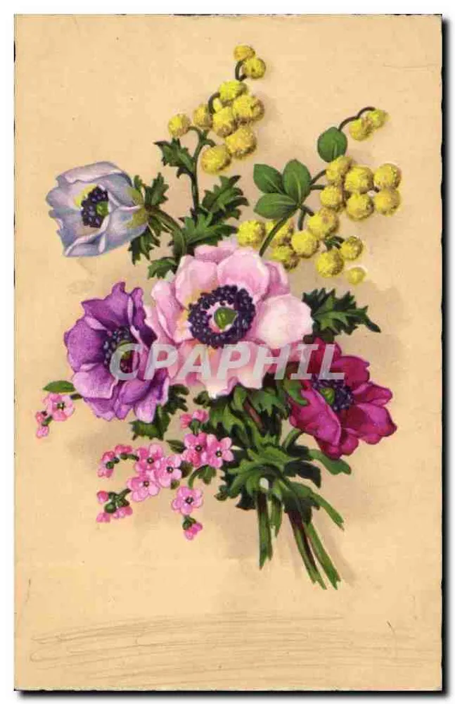 Arranjo de flores — anêmonas e mimosa — editor Imag, n° 4034 - Frente