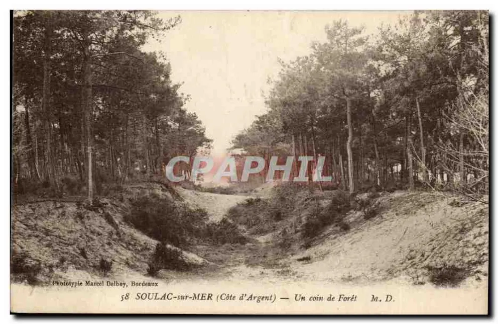 SOULAC-sur-MER (Côte d'Argent) — Um canto da Floresta — Fototipia Marcel Delbay, Bordeaux, n°58 - Frente