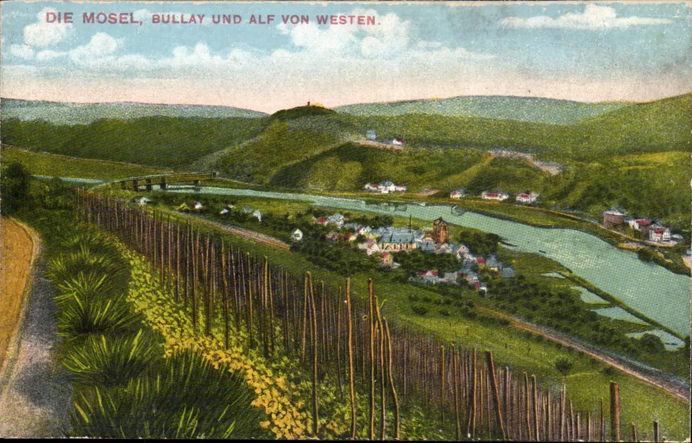 La Moselle, Bullay et l'Alf vus du Westen — vue panoramique — n° 10501 - Recto