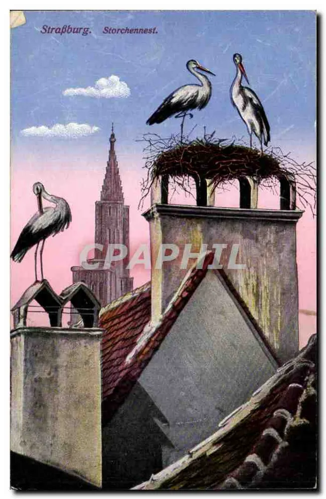 Estrasburgo. Ninho de andorinhas. — Editor: Emil Hartmann, Estrasburgo, Neuer Markt 11. - Frente