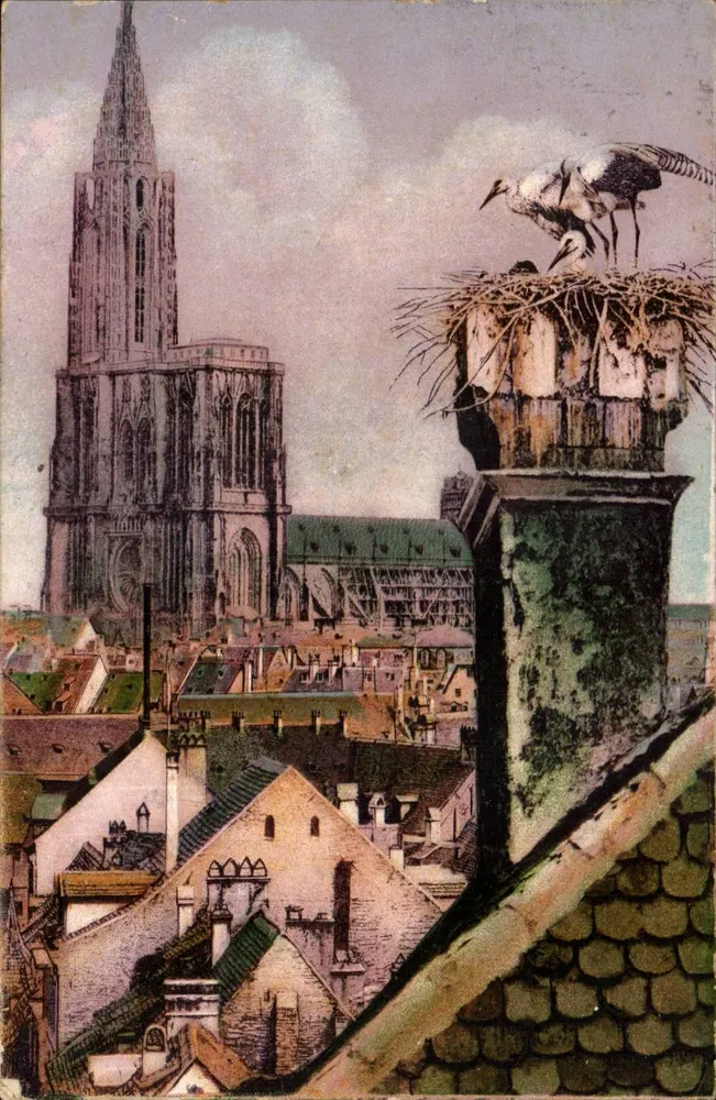 Vista da catedral de Estrasburgo — andorinha sobre chaminé — editor VII 1516 - Frente