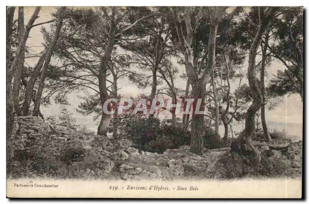 Ambiente de Hyères - Sous Bois — Parfumerie Chaubourlier, n° 239 - Frente
