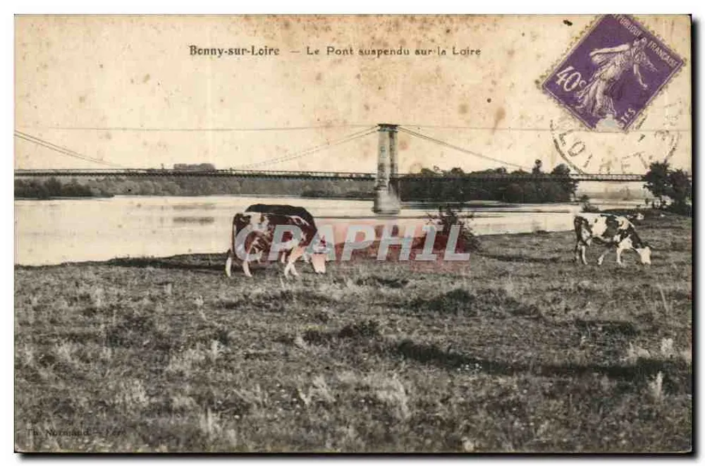Benny-sur-Loire — Die Hängebrücke über die Loire — Foto Nozimard - Vorderseite