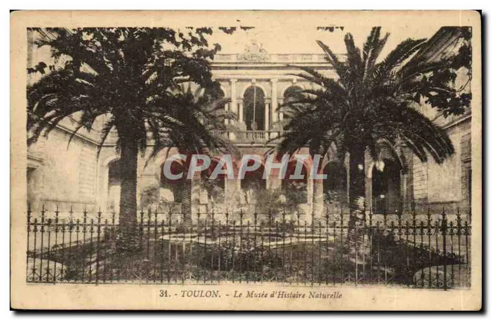 Toulon — O Museu de História Natural — Bilhete postal antigo n°34 - Frente
