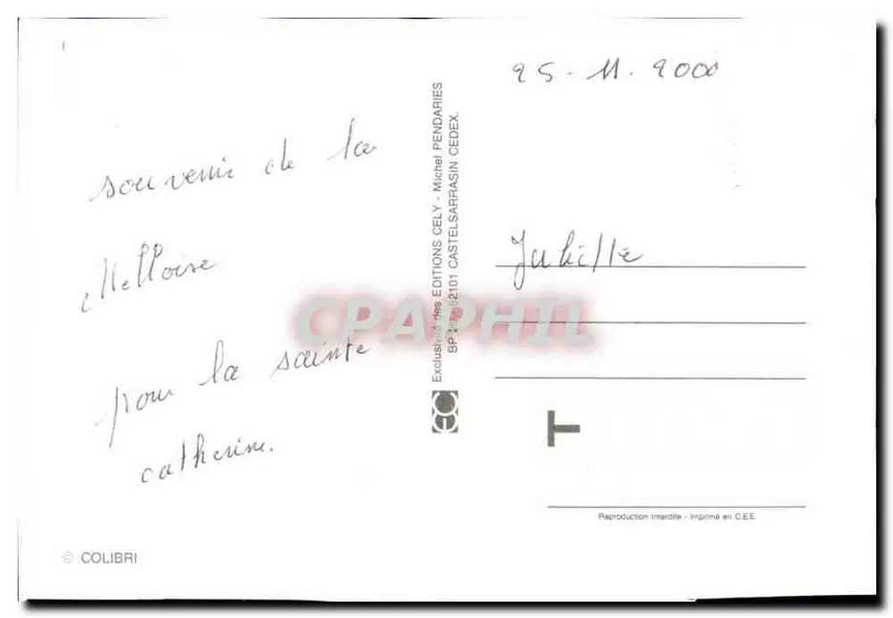 Schlafender schwarzer Schwein — humorvoller Text — Éditions Cely - Rückseite