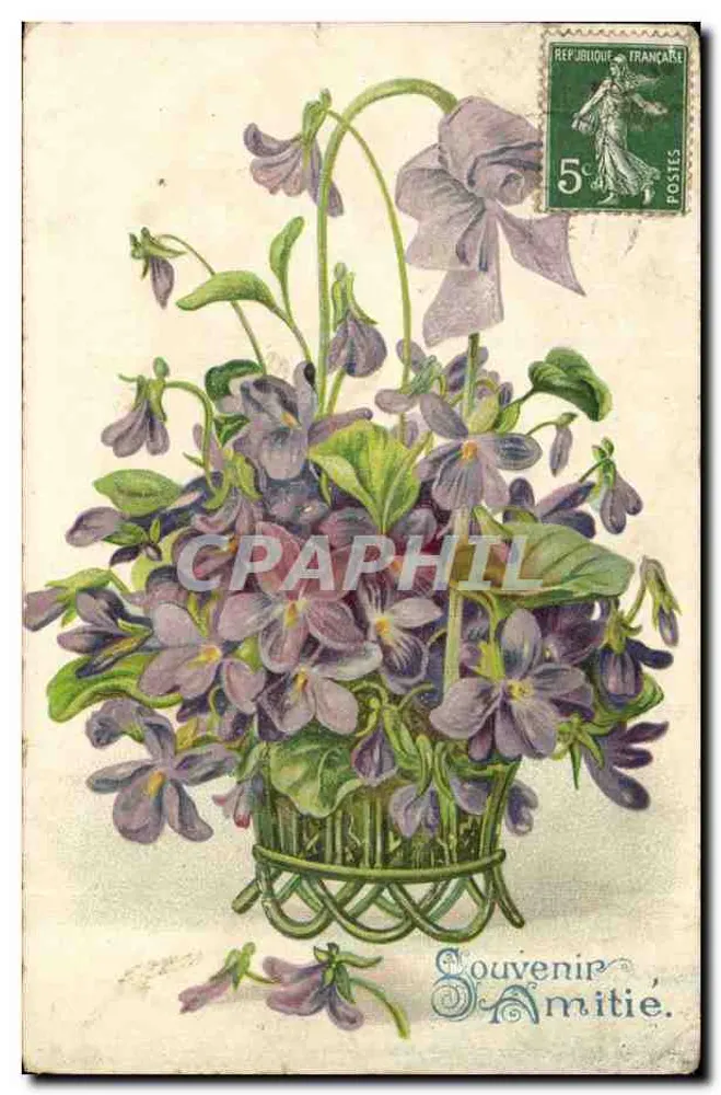 Arranjo de violetas — Lembrete de Amizade — editor desconhecido, número de série não visível - Frente