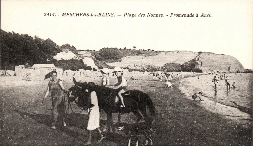 Meschers-les-Bains — Strände der Nonnen — Reiten auf Eseln. - Vorderseite