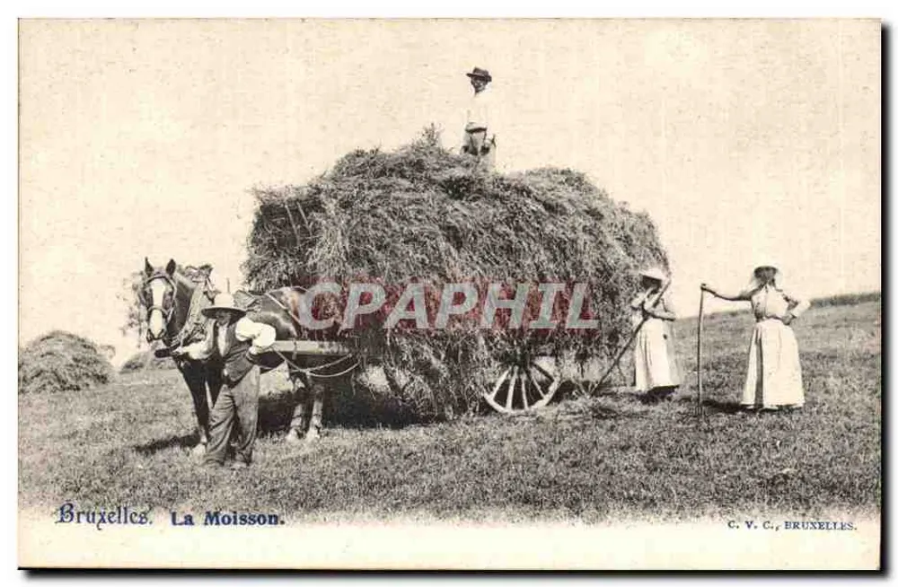 Brüssel. Die Ernte — C. V. C., Brüssel - Vorderseite