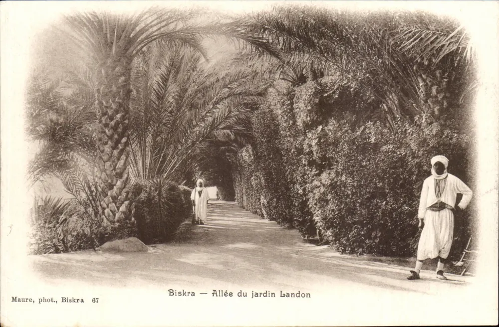 Biskra — Allée du jardin Landon — Maure, phot., Biskra 67 - Vorderseite