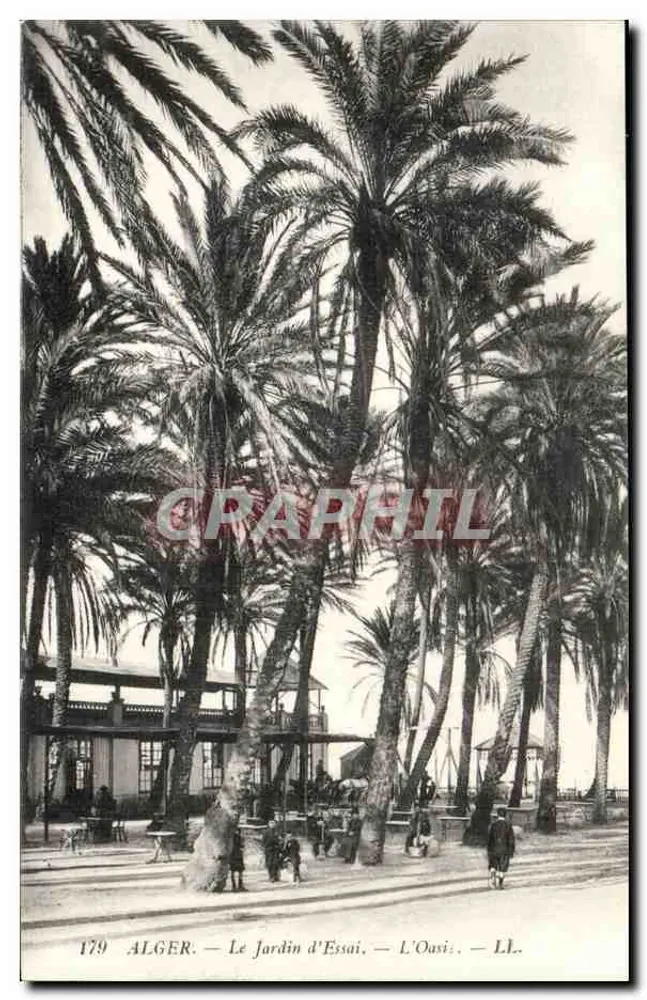 Alger — Der Versuchsgarten — Die Oase — LL. — n° 179 - Vorderseite