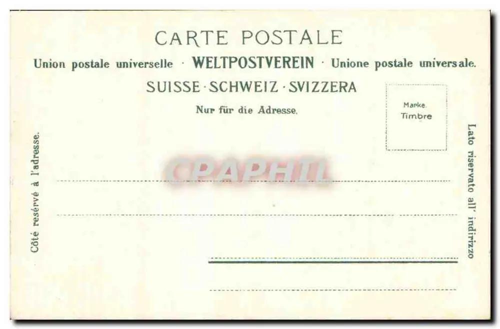 Edelweiss — Leontopodium alpinum — Verlag Gebr. Wehrli, Fot. Kilchberg-Zürich, n° 9603 - Rückseite